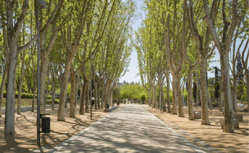 ficha_alameda_del_parque_de_la_arganzuela.png