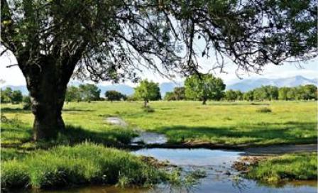 Humedales