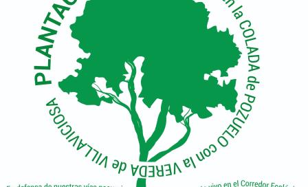 alcorcon_plantacion_15d.jpeg