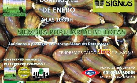 bellotada_coloniajardin.jpg