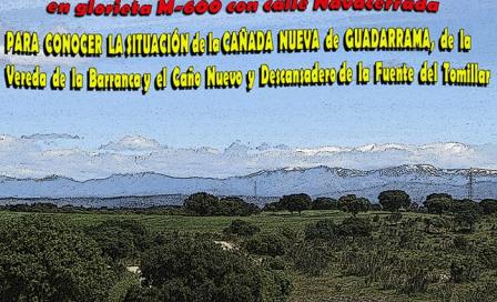 brunete_marcha.jpg