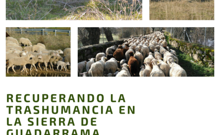 carteltrashumancia.png