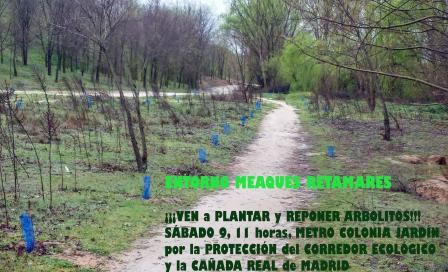 colonia_jardin.jpg