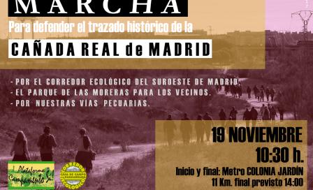 marcha_cnd_rm_copia.jpg