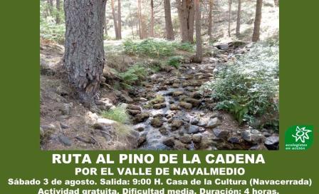 navacerrada_paseo.jpg