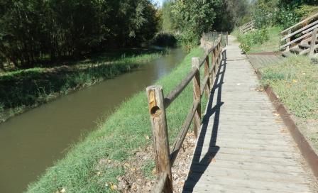 pa153658.jpg