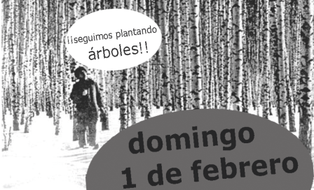 plantacion vistillas.png