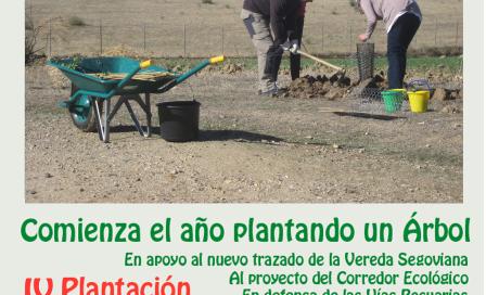 plantacion_enero_2019_cartel.jpg