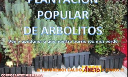 plantacion_meaques.jpg