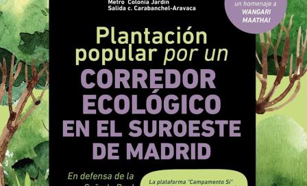 plantacion_sabado_26ene.jpg