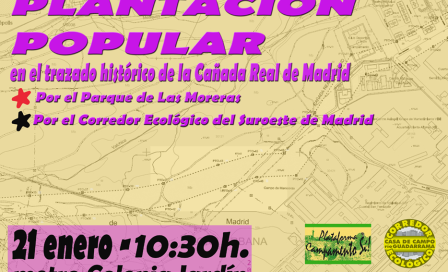 plantacionpopular.png