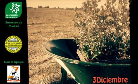 plantacionta.jpg