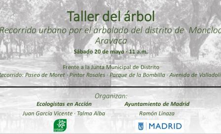 taller_arbol.jpg