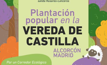 vereda_castilla.jpeg