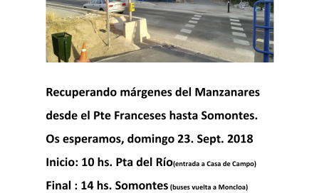 viiia_marcha_madrid.png