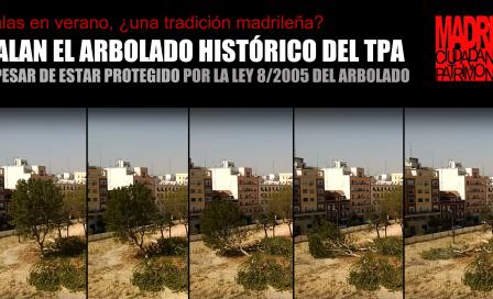 2018-08-08._cartel_tala.jpeg