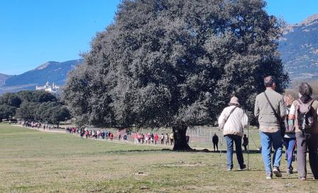 20230326grupofondoelescorial2.jpg
