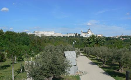 P1390520 (1).JPG