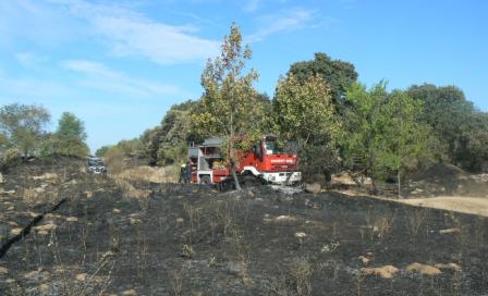 Incendio en Venta de la Rubia